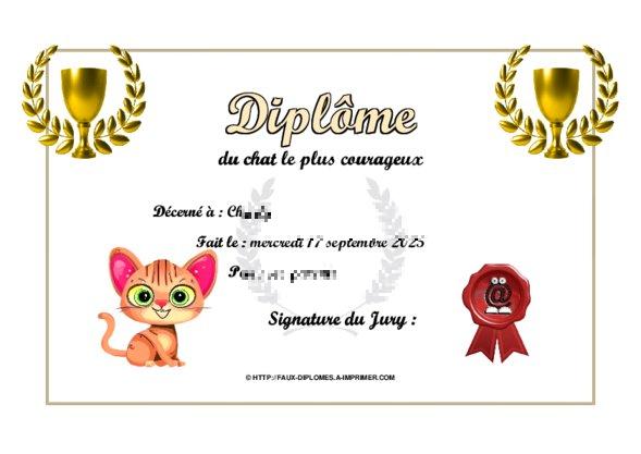 Un des derniers faux diplomes créé