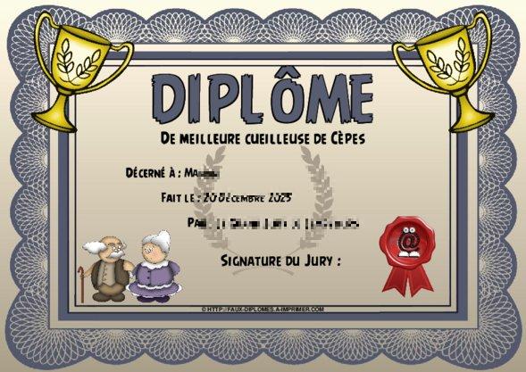 Un des derniers faux diplomes créé